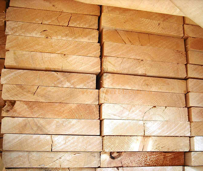 滦县智利辐射松方木